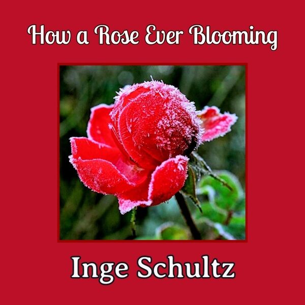 Cover art for How a Rose Ever Blooming
